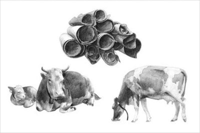 Bag & Leather Glossary Vol. 1—Leather Markings & Texture