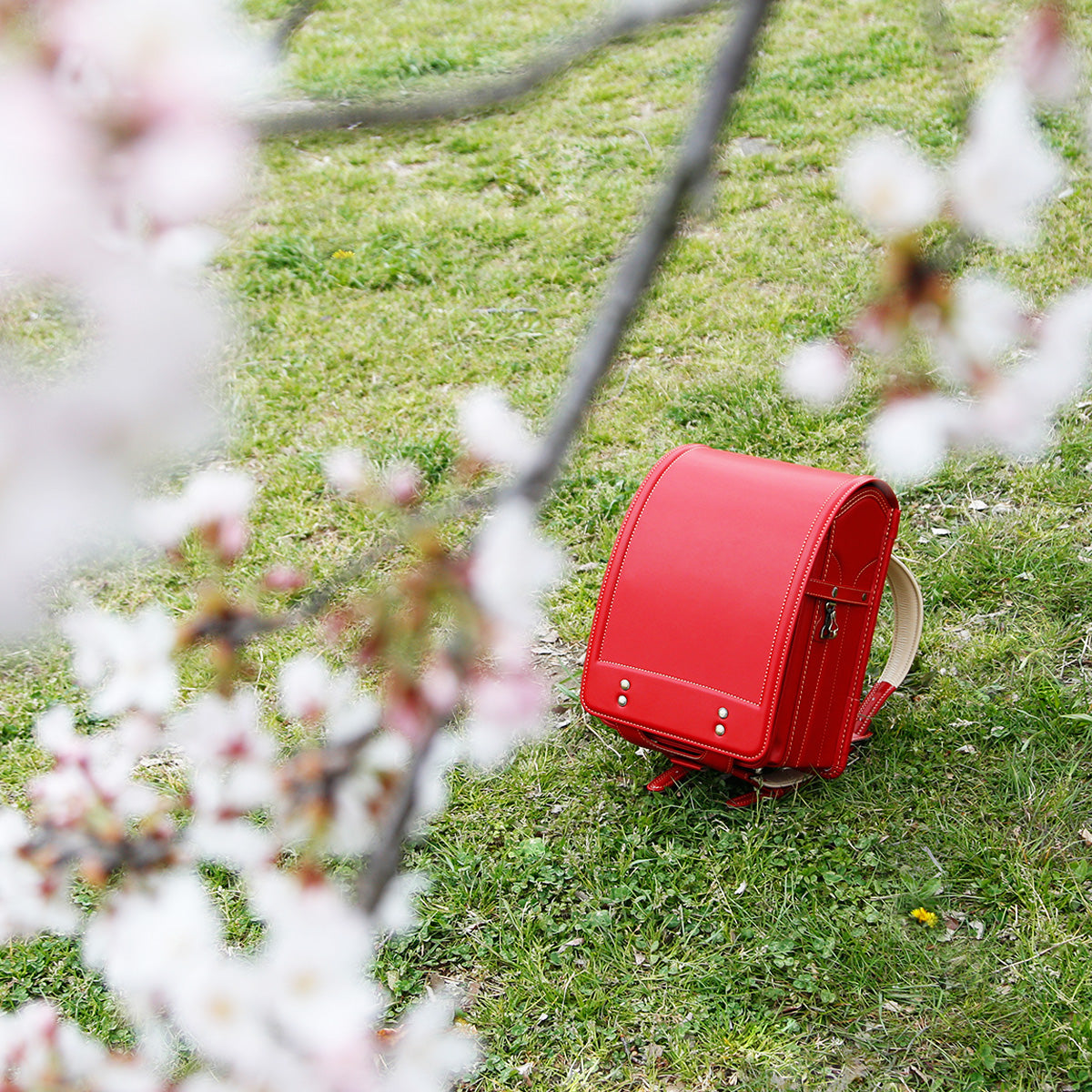 Bags Perfect for Hanami Essentials