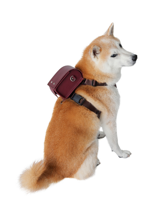 Steerhide  Pet Randoseru with Harness in Burgundy Made in Japan