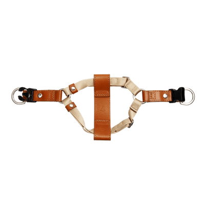 Harness