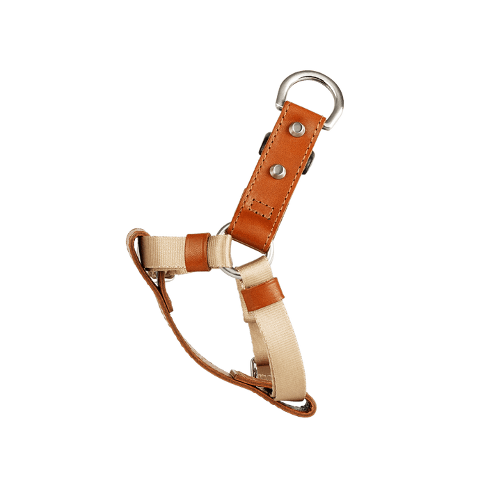 hc-pet-harness_side_1_9cf6ee35