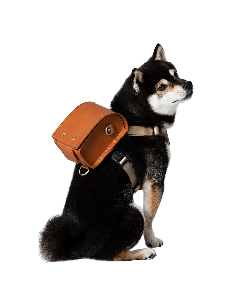 Nume Leather –Timeless Leather Designs, Crafted in Japan