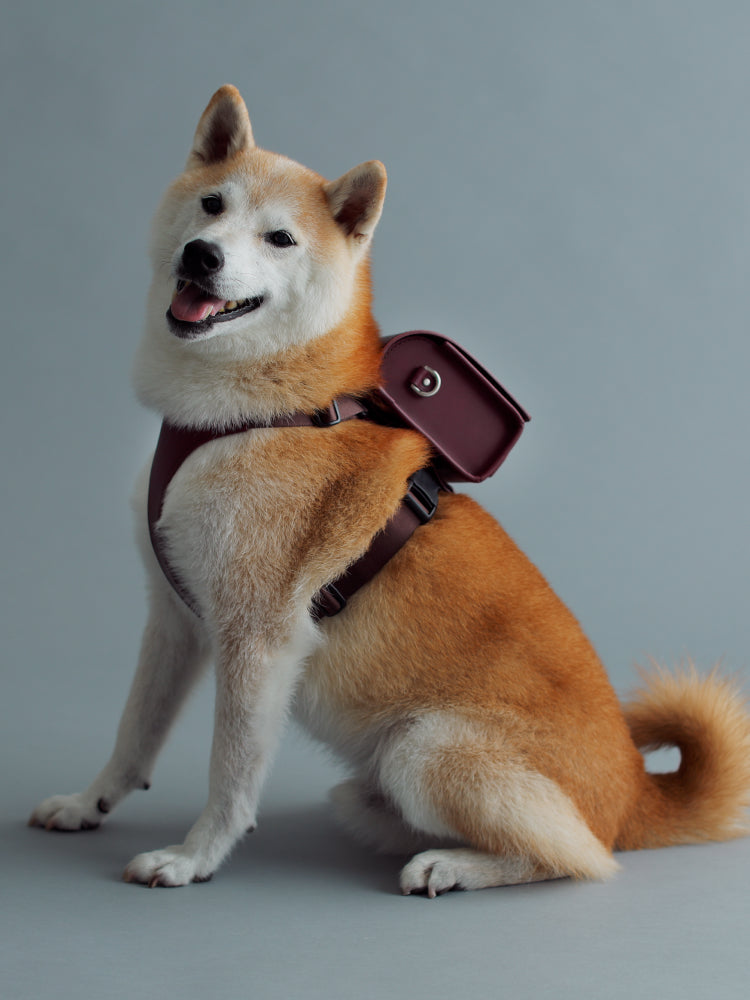 Pet Randoseru with Harness