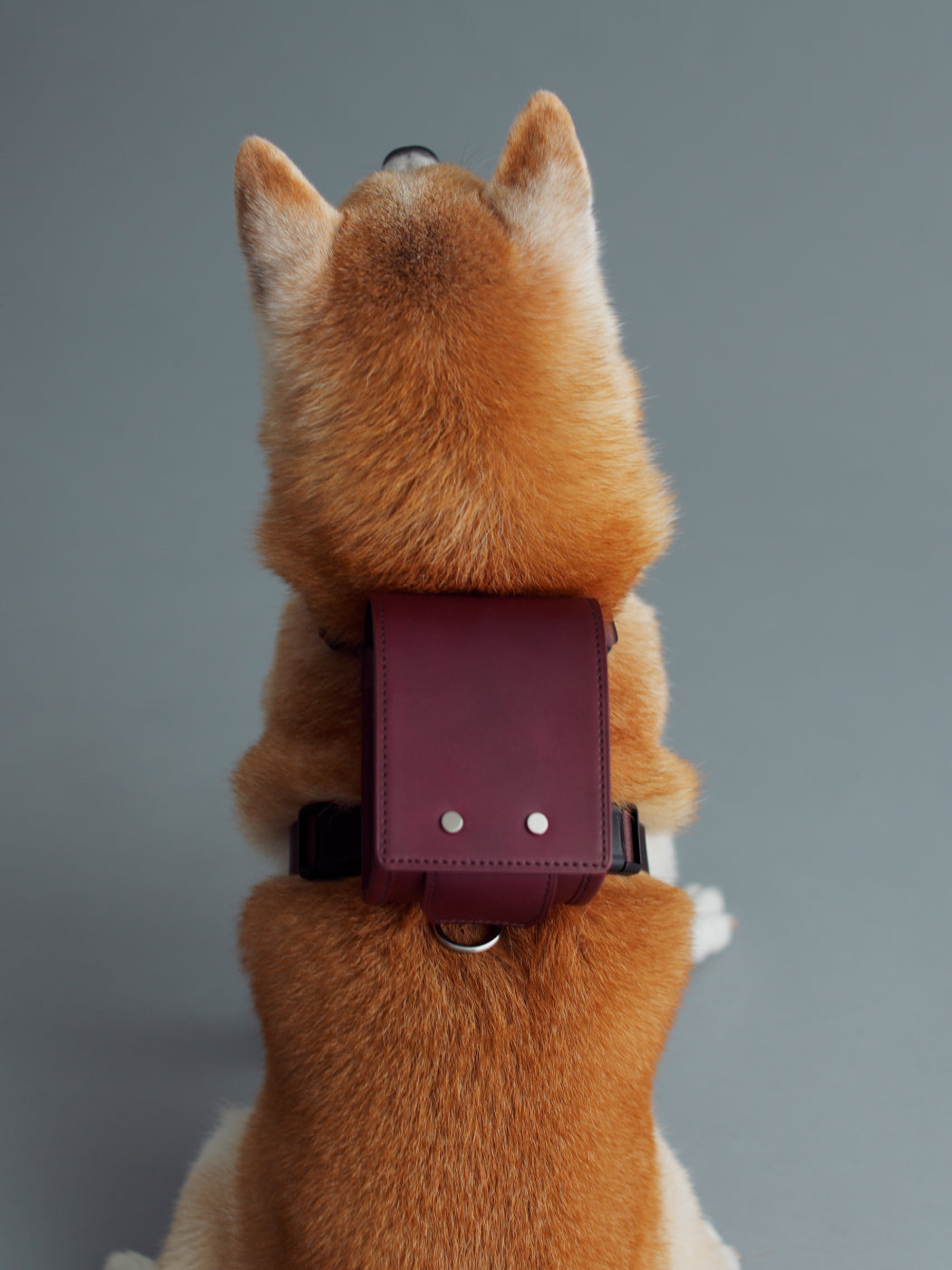 Steerhide  Pet Randoseru with Harness in Burgundy Made in Japan