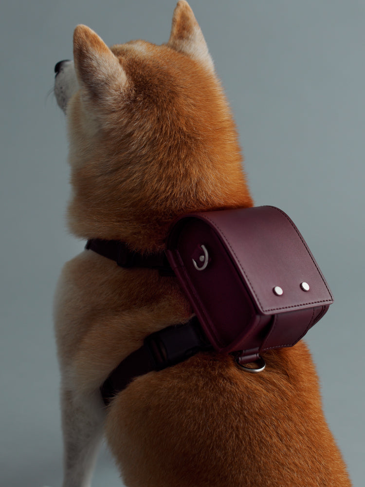 Steerhide  Pet Randoseru with Harness in Burgundy Made in Japan