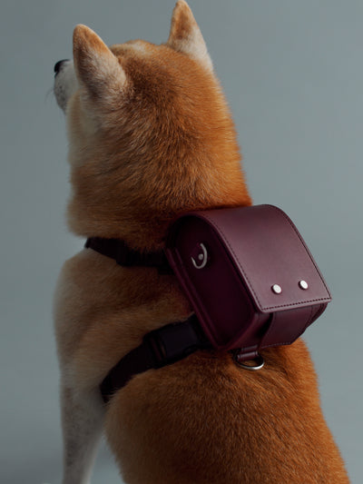 Steerhide  Pet Randoseru with Harness in Burgundy Made in Japan