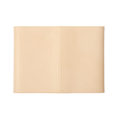 Plain Nume Book Cover