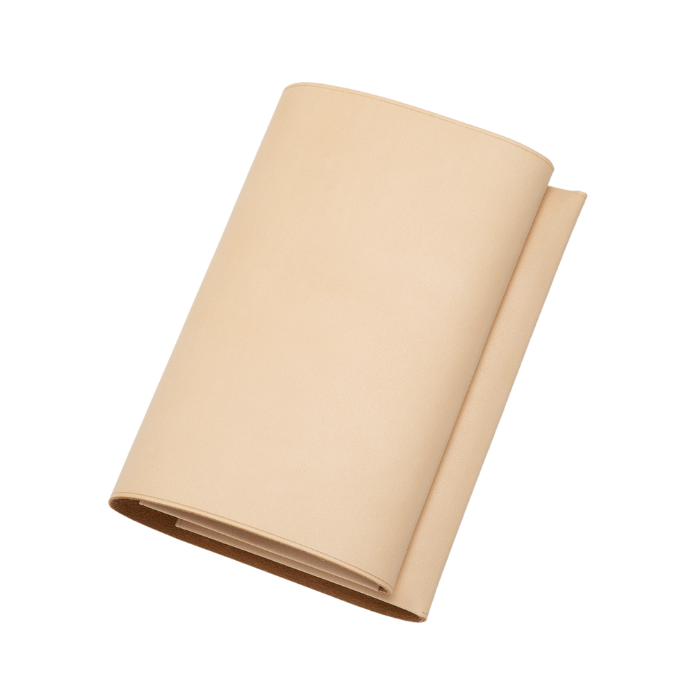 Plain Nume Book Cover