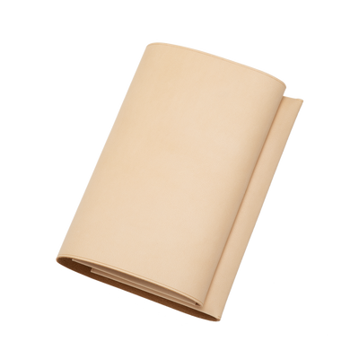 Plain Nume Book Cover