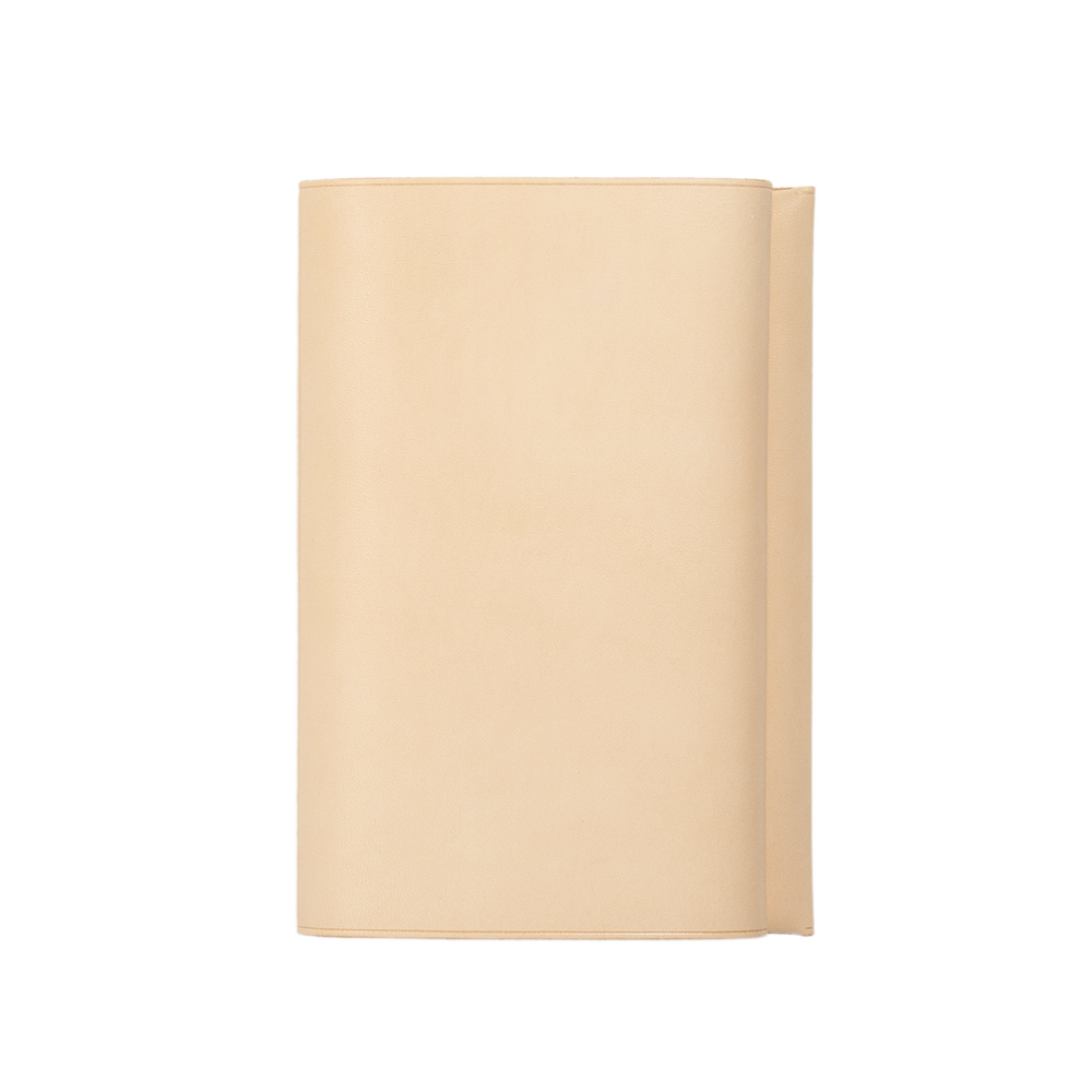 Plain Nume Book Cover