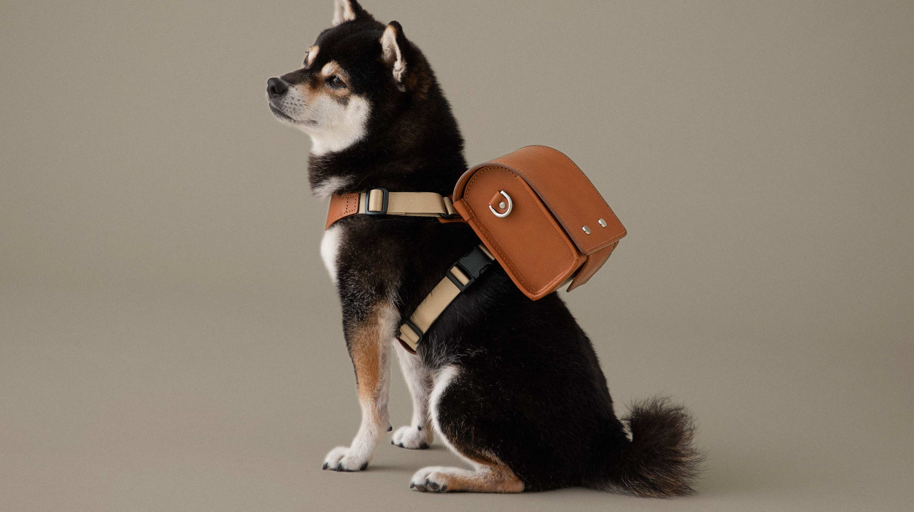Premium Leather Pet Accessories | Tsuchiya Kaban –Timeless Leather