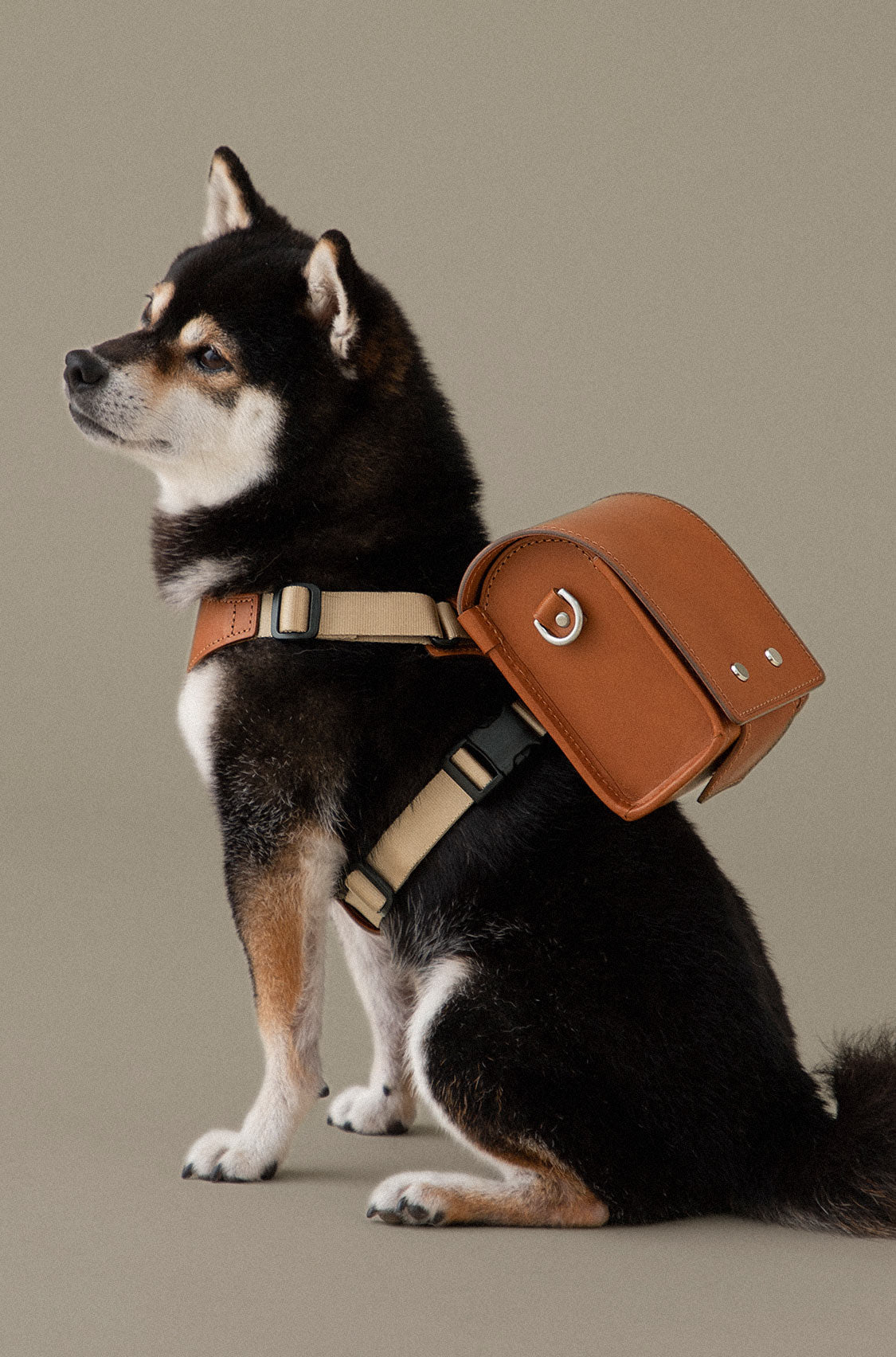 Premium Leather Pet Accessories | Tsuchiya Kaban –Timeless Leather