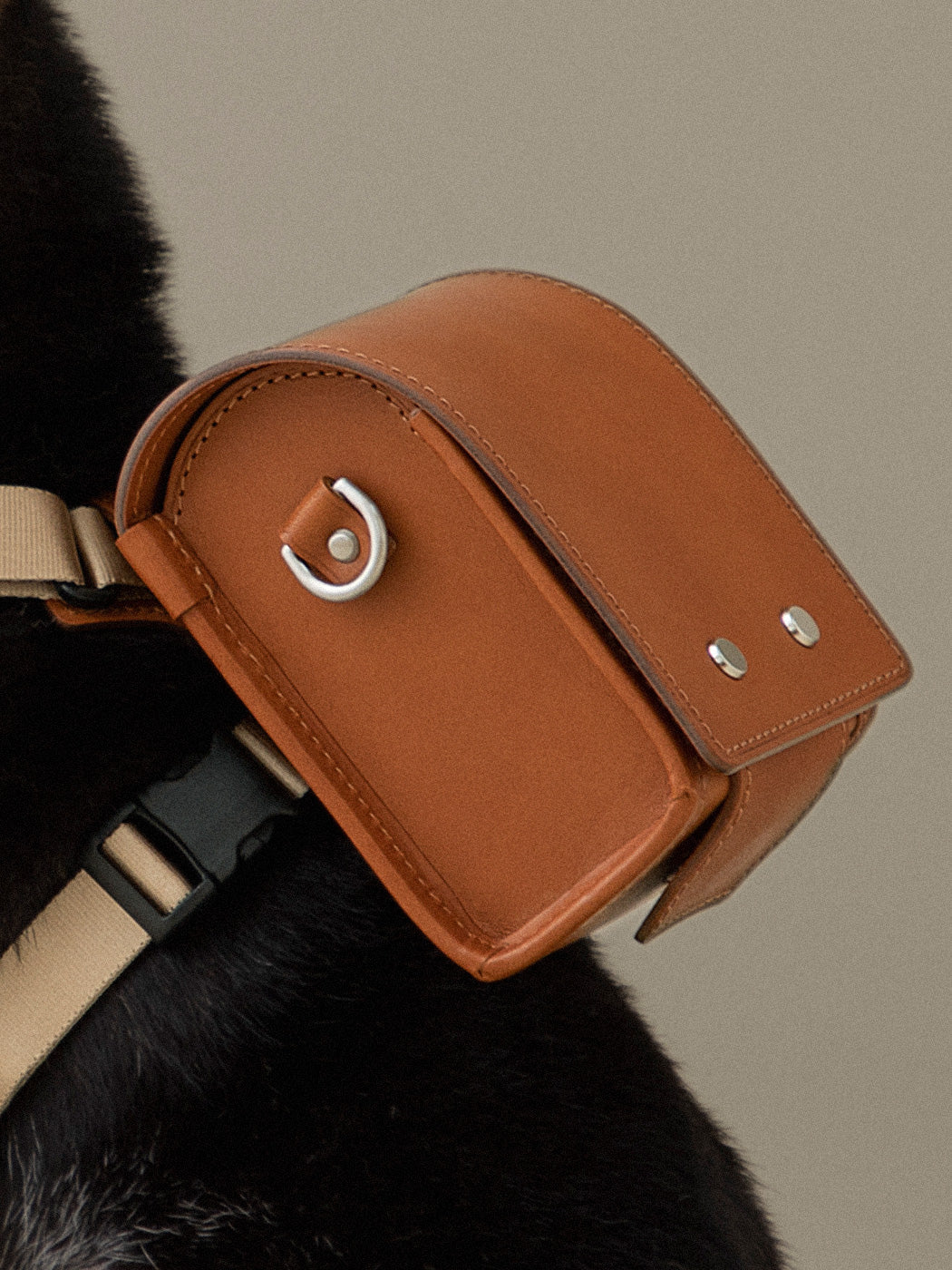 Premium Leather Pet Accessories | Tsuchiya Kaban –Timeless Leather